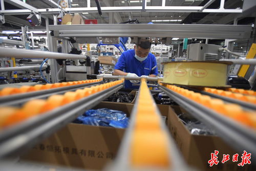 偉巴斯特武漢工廠提前投產，區域外資工業集聚效應凸顯